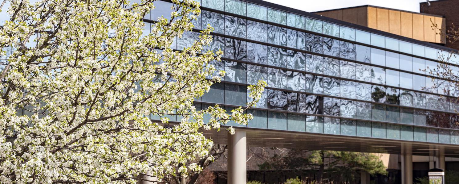 Spring time on campus with the skybridge in view.